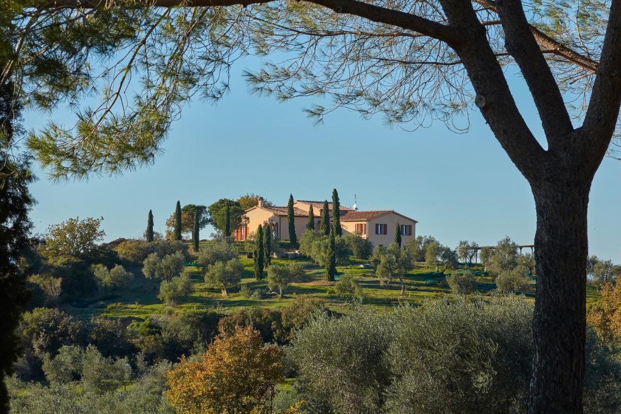 Poggio Tamantino, Villa Con Piscina In Maremma Poggio Cavallo ภายนอก รูปภาพ