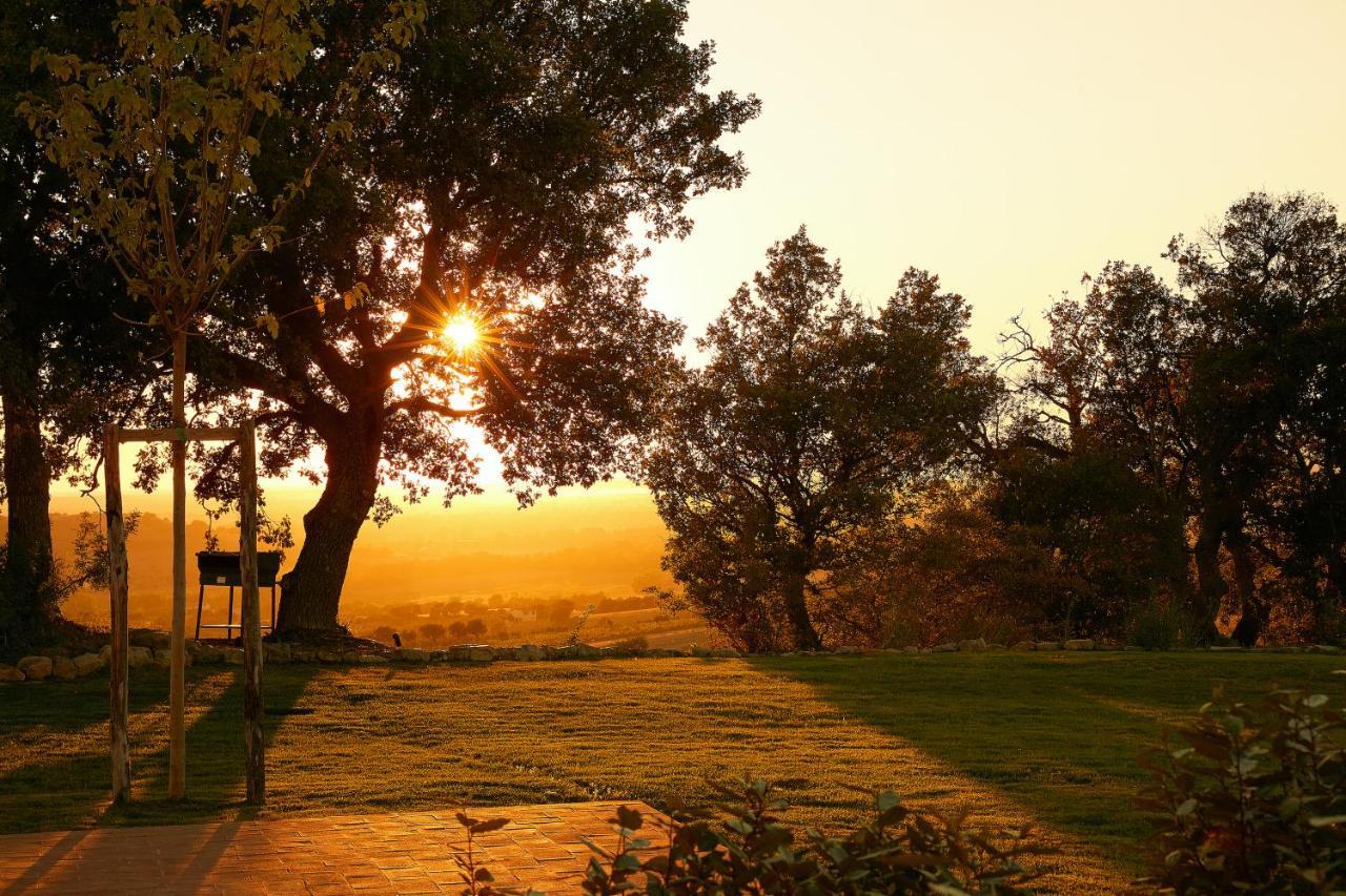 Poggio Tamantino, Villa Con Piscina In Maremma Poggio Cavallo ภายนอก รูปภาพ